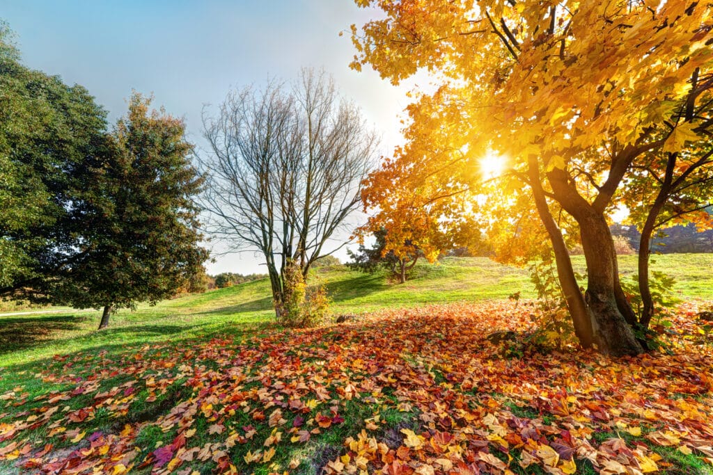 Herfstwandeling door de baan op 4 oktober